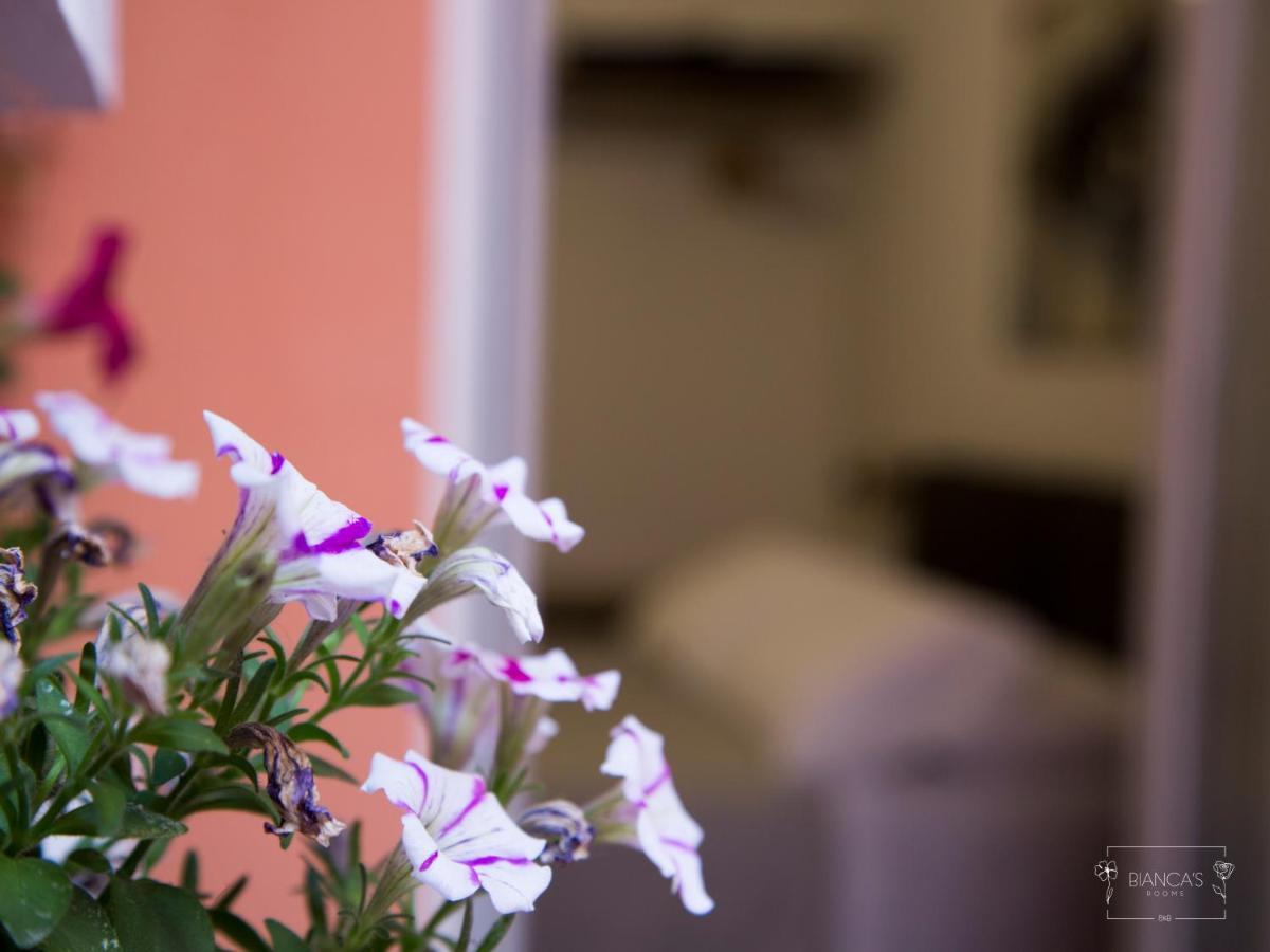 Bianca'S Rooms 트라니 외부 사진
